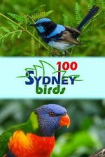 Watch 100 Sydney Birds Movie2k