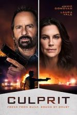 Watch Culprit Movie2k