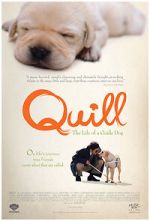 Watch Quill: The Life of a Guide Dog Movie2k
