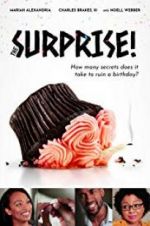 Watch The Surprise! Movie2k