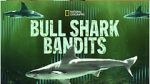 Watch Bull Shark Bandits Movie2k