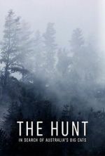 Watch The Hunt: In Search of Australia\'s Big Cats Movie2k