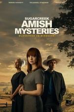 Watch Sugarcreek Amish Mysteries: Blessings in Disguise Movie2k