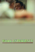 Watch Work Experience Movie2k