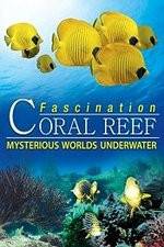 Watch Fascination Coral Reef: Mysterious Worlds Underwater Movie2k