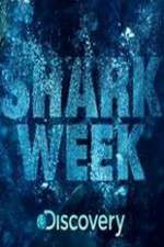 Watch Shark Week Movie2k