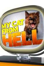 Watch My Cat from Hell Movie2k