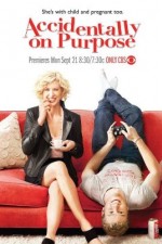 Watch Accidentally on Purpose Movie2k