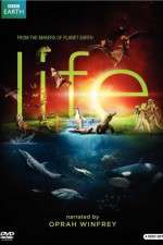 Watch Life Movie2k